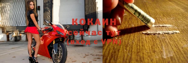 шишки Новокубанск