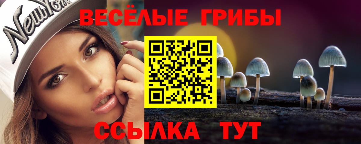 Галлюциногенные грибы ЛСД  Псилоцибиновые грибы MAGIC MUSHROOMS  Карачаевск  Вход с VPN 